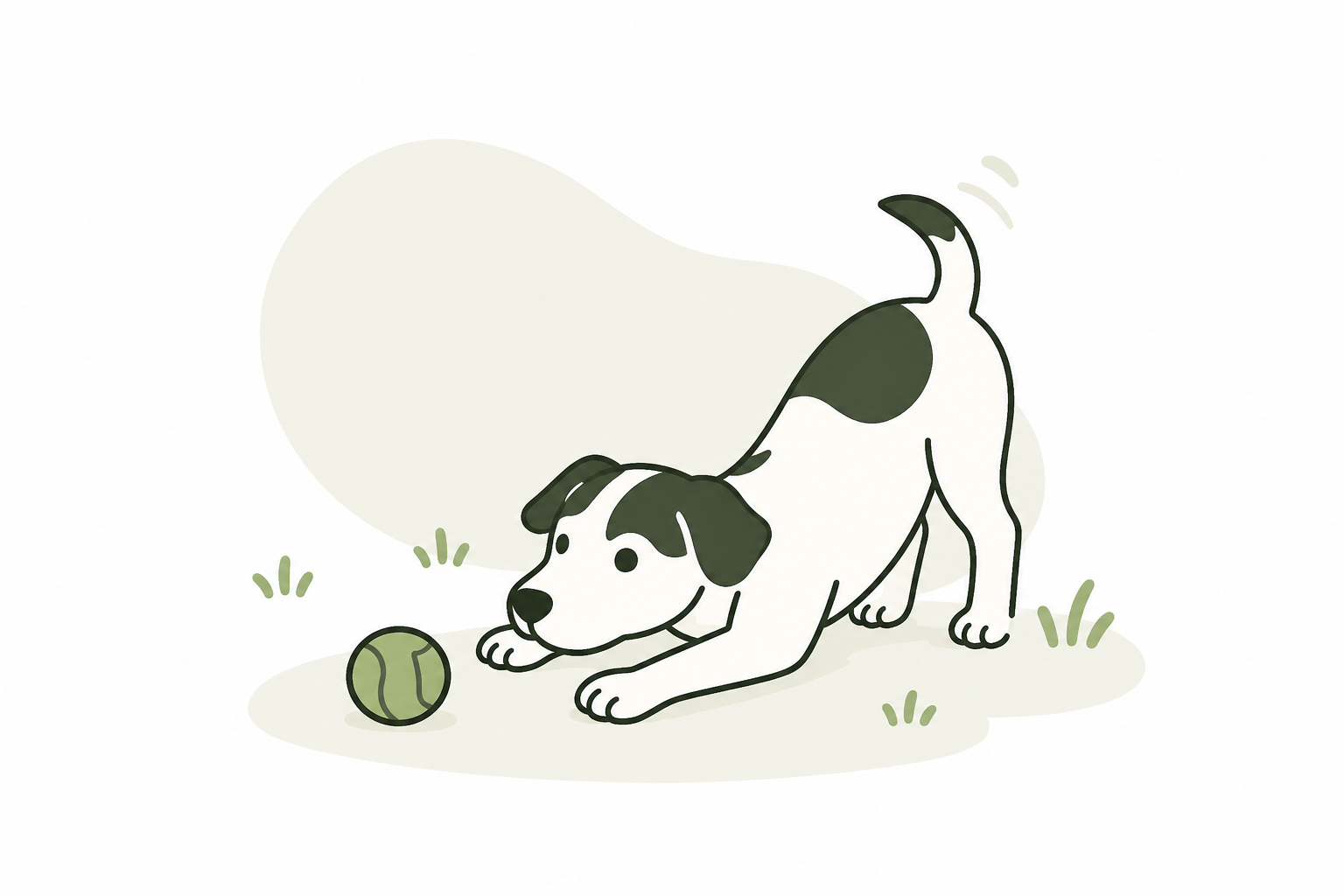 Play with your dog
